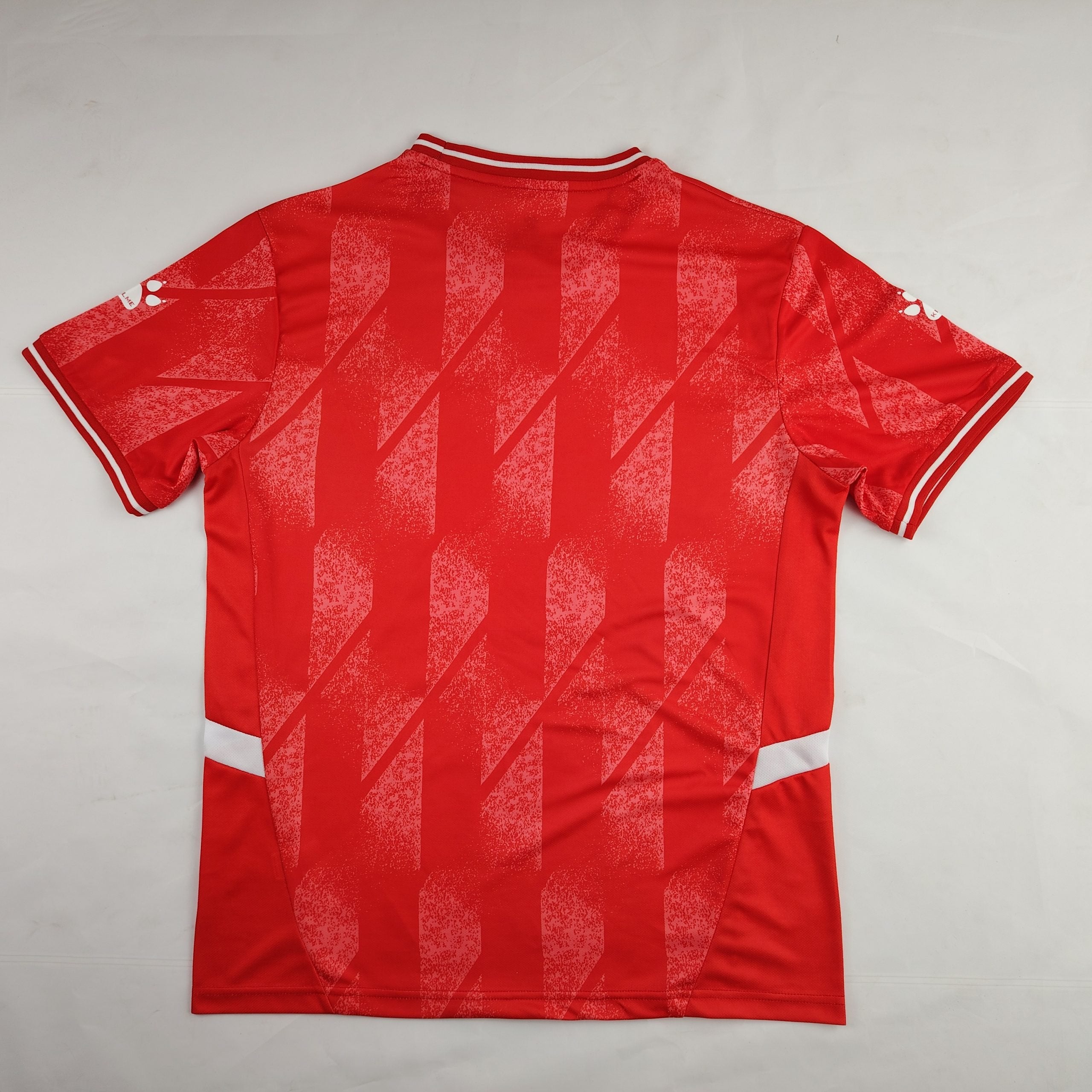 Palestine 2024/25 National Team Red Jersey image 1
