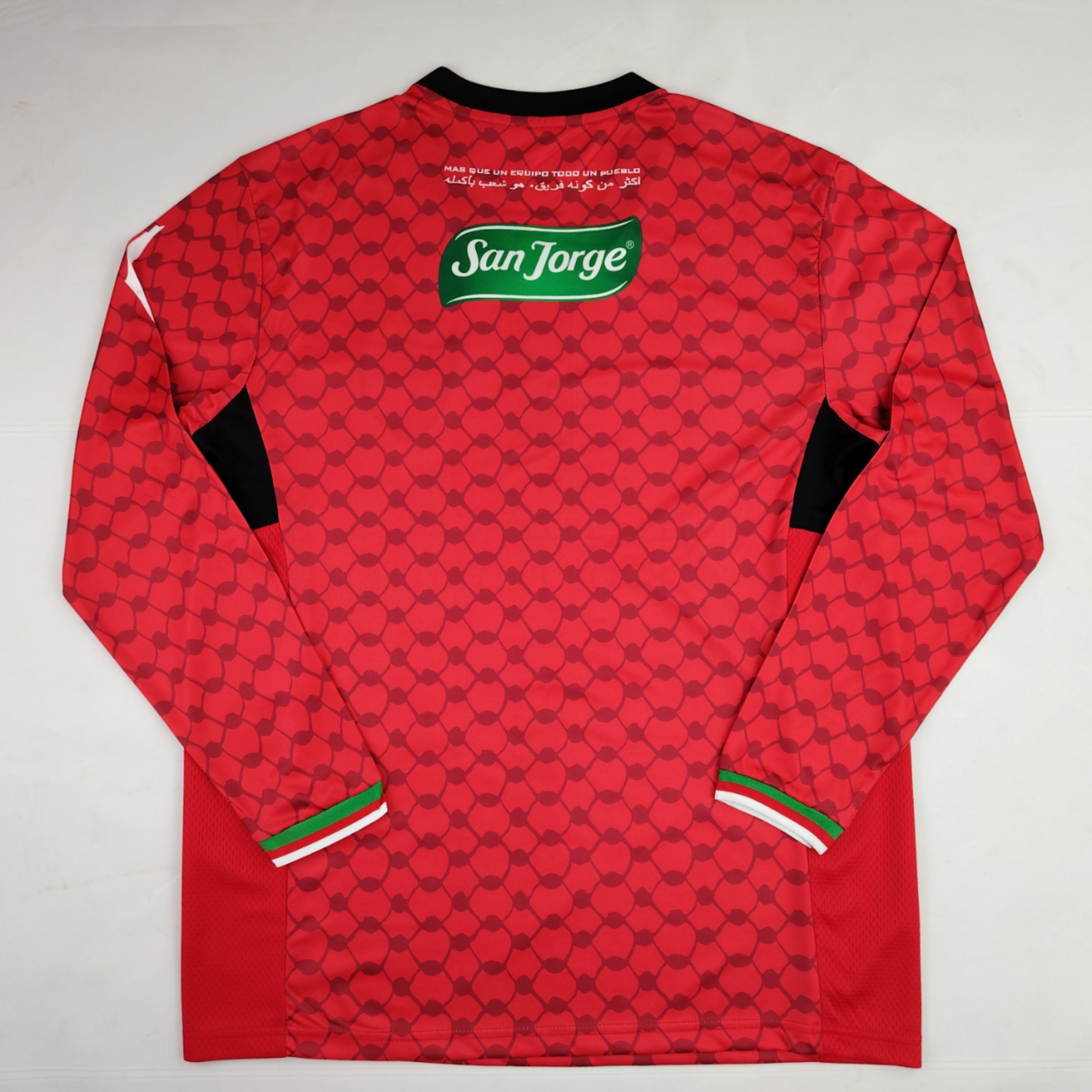 Palestine 2024-25 Green Floral Long Sleeves Jersey image 1