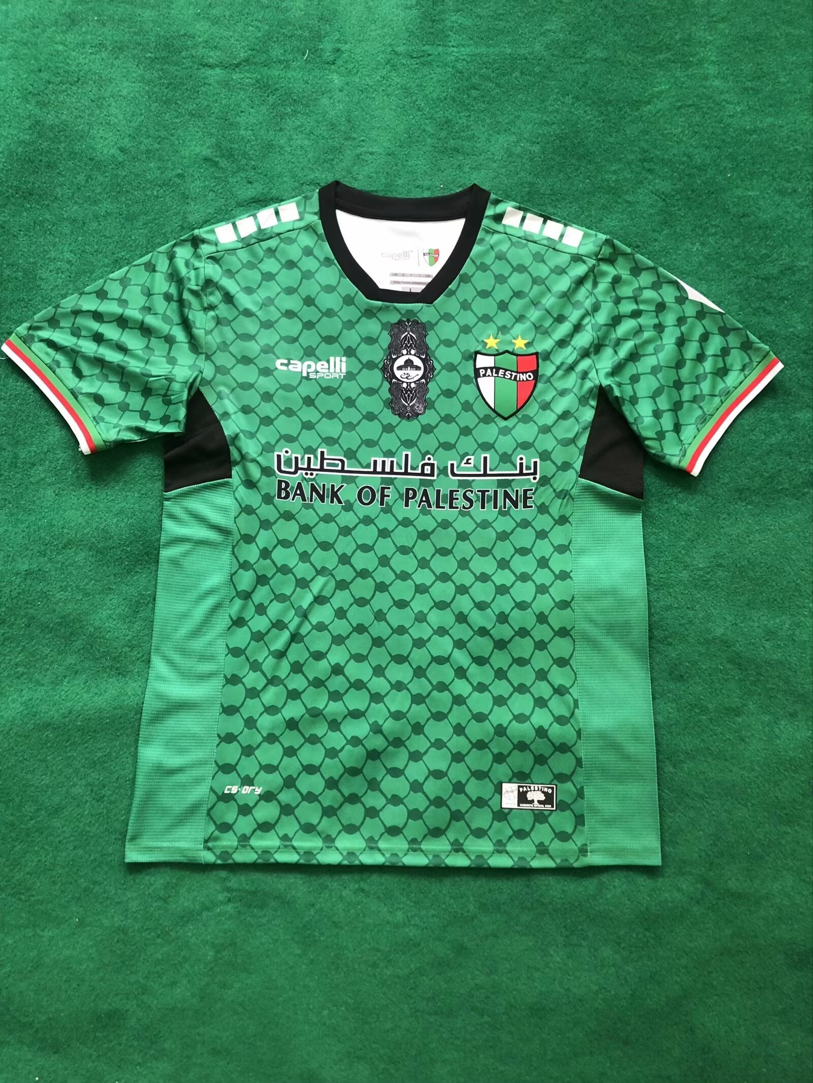 Palestine 2024-25 Flower Green Jersey image 0