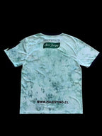 Palestine 2022/23 Jersey image 1