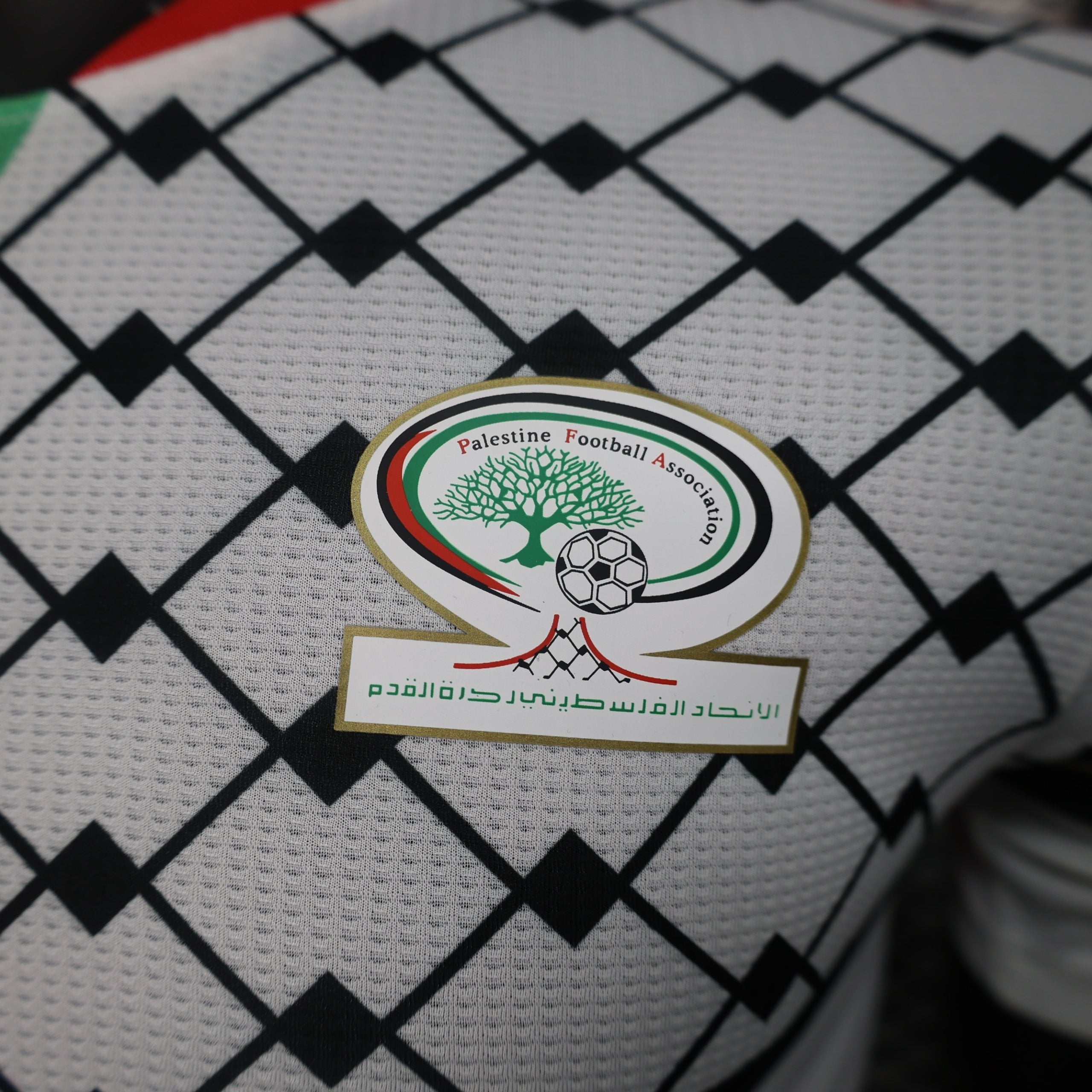 Palestinian Football Federation Special Edition 2023-2024 Jersey - White image 3