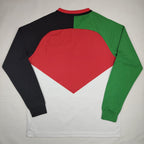 Palestinian 2024-25 Flag Long Sleeves Jersey image 1
