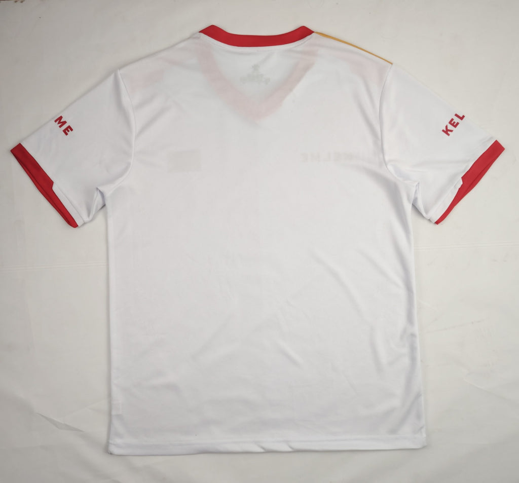 Palestinian 2024-25 National Away Jersey image 1