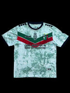 Palestine 2022/23 Jersey image 0